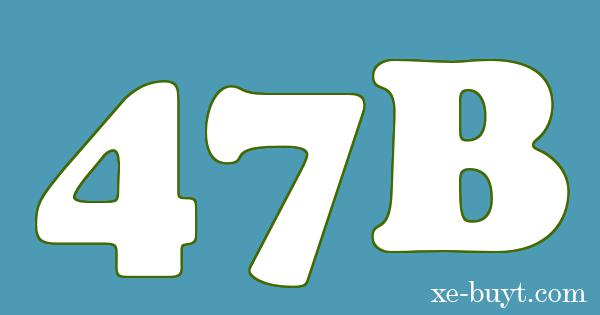 Xe buýt 47B