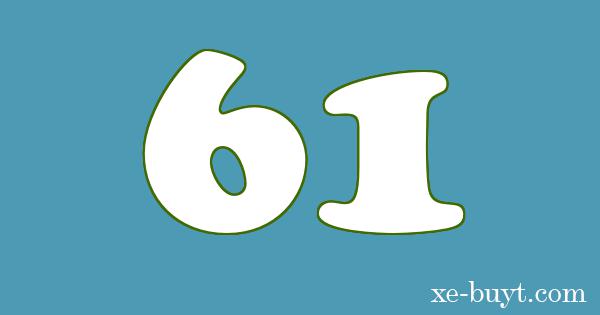 Xe buýt 61